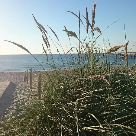 Quaint In Near Sea *